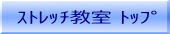 ���_��X�g���b�`���� �g�b�v�y�[�W