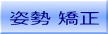 �p�������R�[�X�ē�